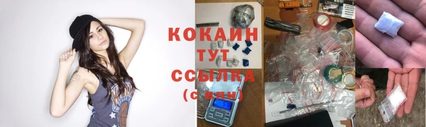 дживик Богородицк