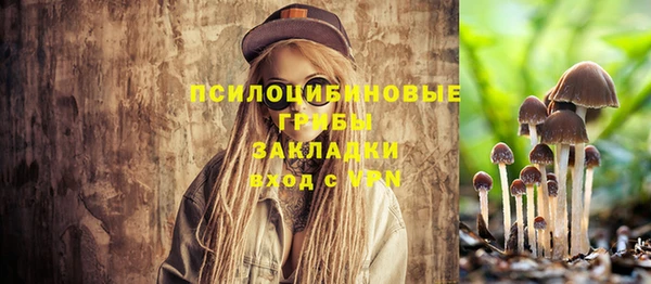 дживик Богородицк