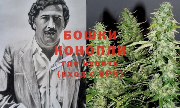 дживик Богородицк