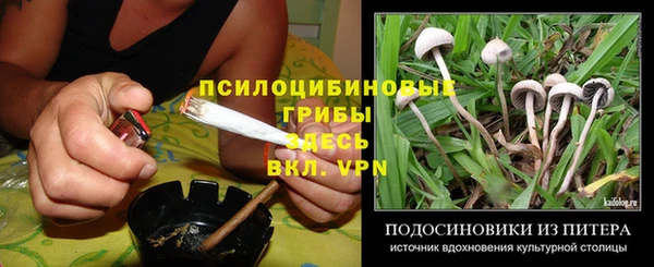 а пвп мука Богданович