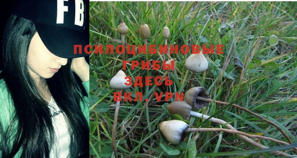 дживик Богородицк